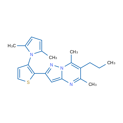 1-(2-{5,7-dimethyl-6-propylpyrazolo[1,5-a]pyrimidin-2-yl}thiophen-3-yl)-2,5-dimethyl-1H-pyrrole 1g