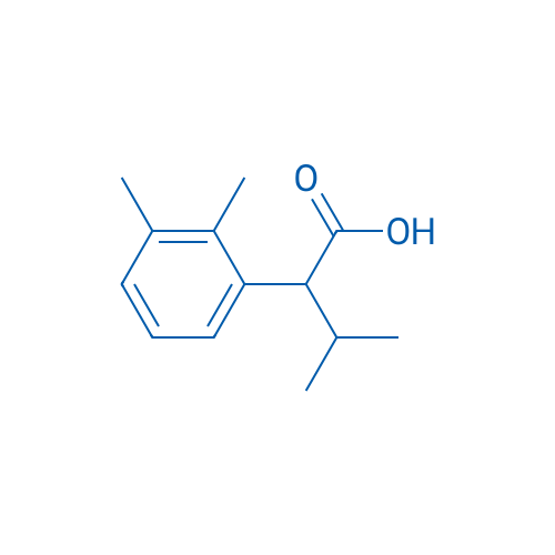 2-(2,3-Dimethylphenyl)-3-methylbutanoic acid 5g