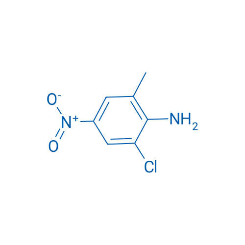 2-Chloro-6-methyl-4-nitroaniline 1g