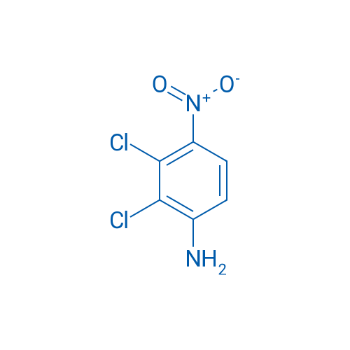 2,3-Dichloro-4-nitroaniline 100g
