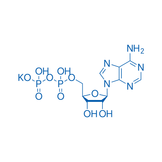 ((2R,3S,4R,5R)-5-(6-Amino-9H-purin-9-yl)-3,4-dihydroxytetrahydrofuran-2-yl)methyl trihydrogen diphosphate monopotassium salt 250mg