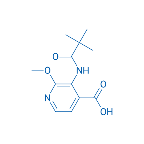 2-Methoxy-3-pivalamidoisonicotinic acid 1g