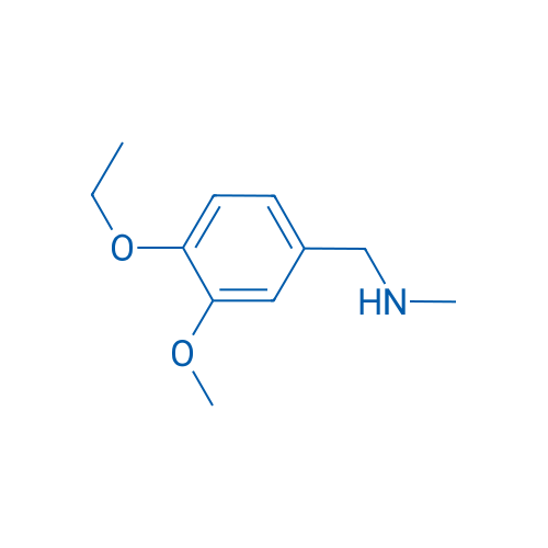[(4-Ethoxy-3-methoxyphenyl)methyl](methyl)amine 250mg
