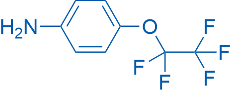 4-(Perfluoroethoxy)aniline 250mg