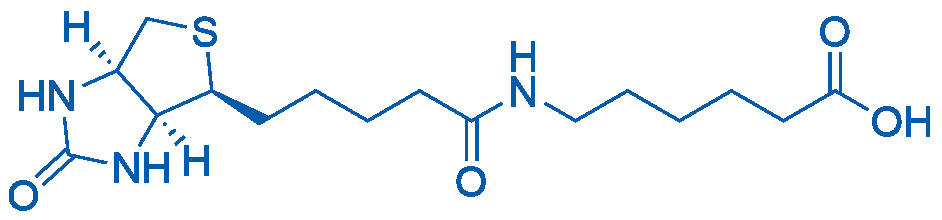 N-Biotinyl-6-aminohexanoic acid 250mg