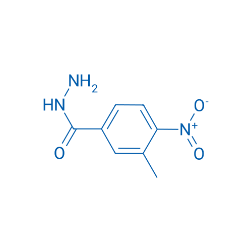3-Methyl-4-nitrobenzohydrazide 25g