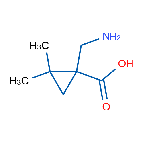 1-(Aminomethyl)-2,2-dimethylcyclopropane-1-carboxylic acid 1g
