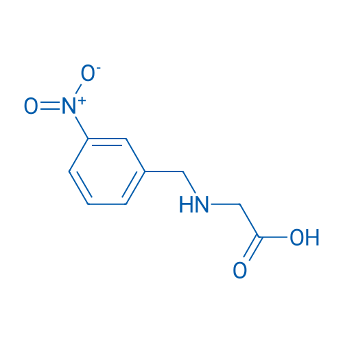 (3-Nitro-benzylamino)-acetic acid 1g