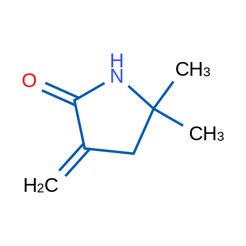 5,5-Dimethyl-3-methylidenepyrrolidin-2-one 1g