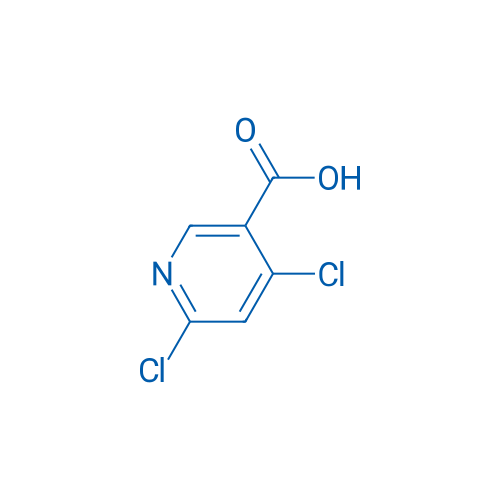 4,6-Dichloronicotinic acid 100g