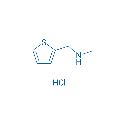 N-Methyl-(2-thienylmethyl)amine Hydrochloride 25g