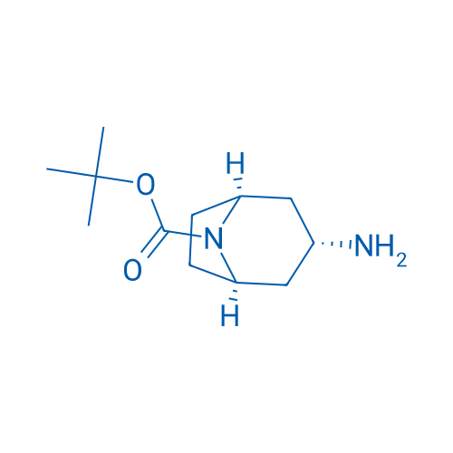 N-Boc- exo-3-aminotropane 10g