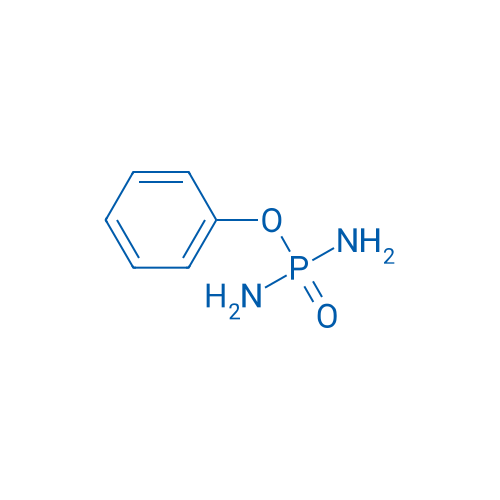 Phenyl phosphorodiamidate 25g