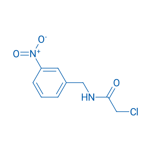 2-Chloro-N-(3-nitrobenzyl)acetamide 1g