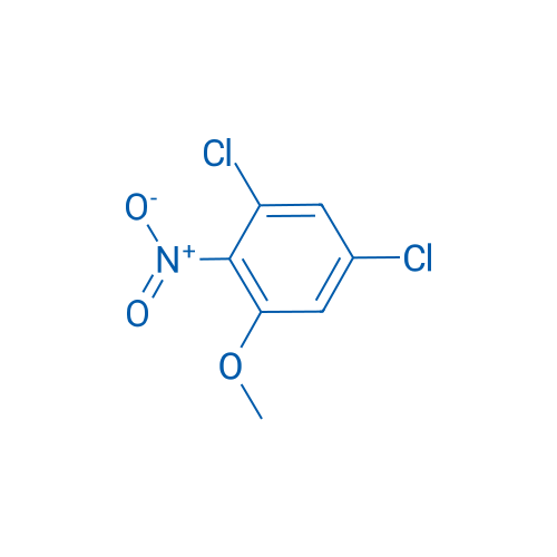 1,5-Dichloro-3-methoxy-2-nitrobenzene 1g
