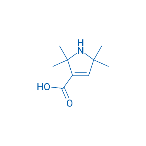 2,2,5,5-Tetramethyl-2,5-dihydro-1H-pyrrole-3-carboxylic acid 100mg
