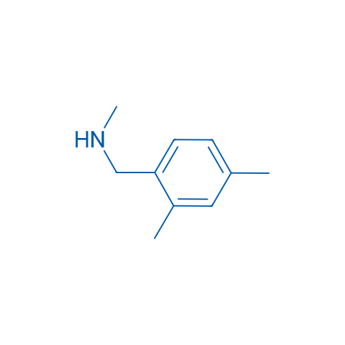 1-(2,4-Dimethylphenyl)-N-methylmethanamine 250mg