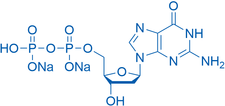 2'-Deoxyguanosine-5'-diphosphate disodium salt 1g