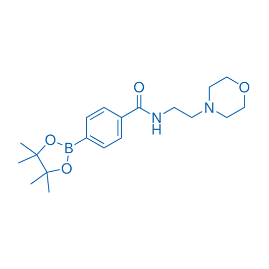 N-(2-Morpholinoethyl)-4-(4,4,5,5-tetramethyl-1,3,2-dioxaborolan-2-yl)benzamide 1g