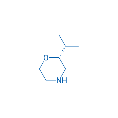 (R)-2-Isopropylmorpholine 250mg