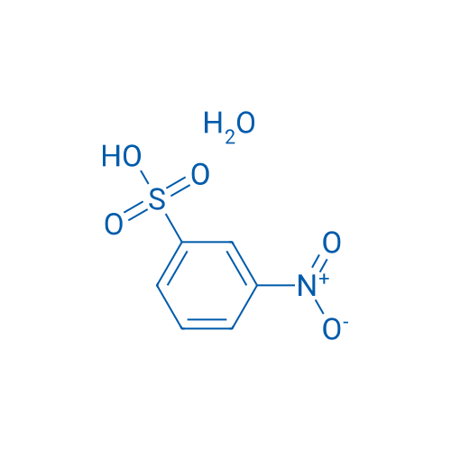 3-Nitrobenzenesulfonic acid hydrate 250mg