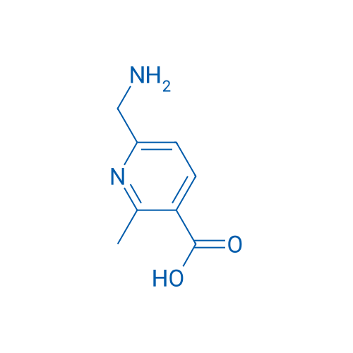 6-(Aminomethyl)-2-methylpyridine-3-carboxylic acid 1g