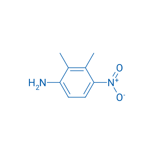 2,3-Dimethyl-4-nitroaniline 1g