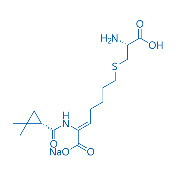 Cilastatin sodium 250mg