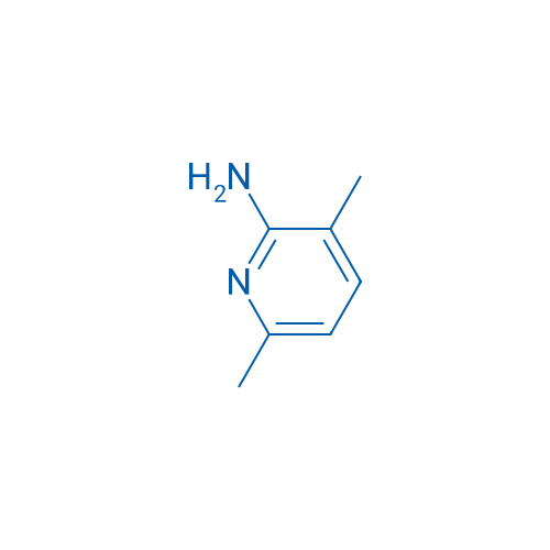 3,6-Dimethyl-2-pyridinamine 10g
