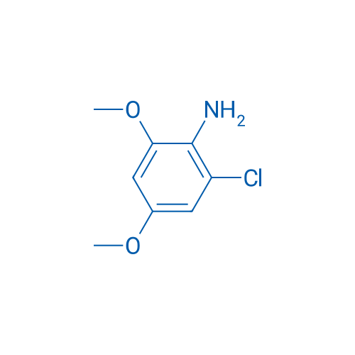 2-Chloro-4,6-dimethoxyaniline 1g