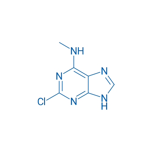 2-Chloro-N-methyl-9H-purin-6-amine 1g