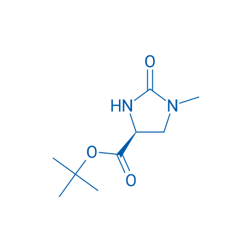 (S)-tert-Butyl 1-methyl-2-oxoimidazolidine-4-carboxylate 250mg