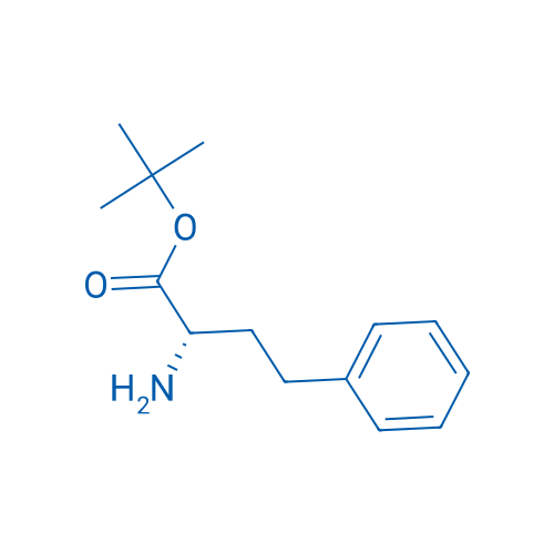(S)-tert-Butyl 2-amino-4-phenylbutanoate 250mg