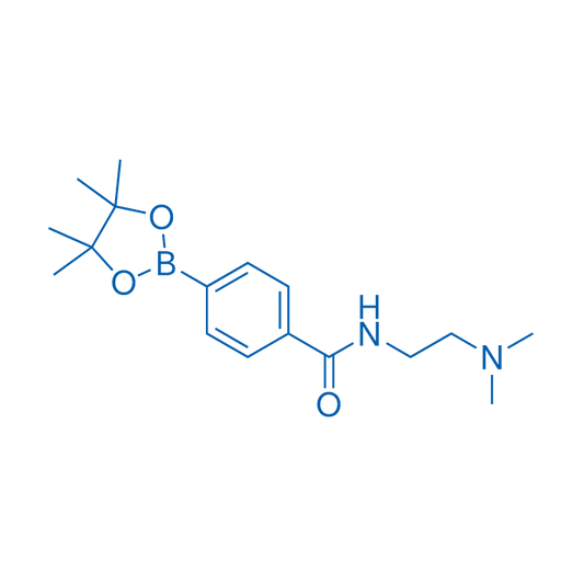 N-(2-Dimethylaminoethyl)-4-(4,4,5,5-tetramethyl-1,3,2-dioxaborolan-2-yl)benzamide 1g