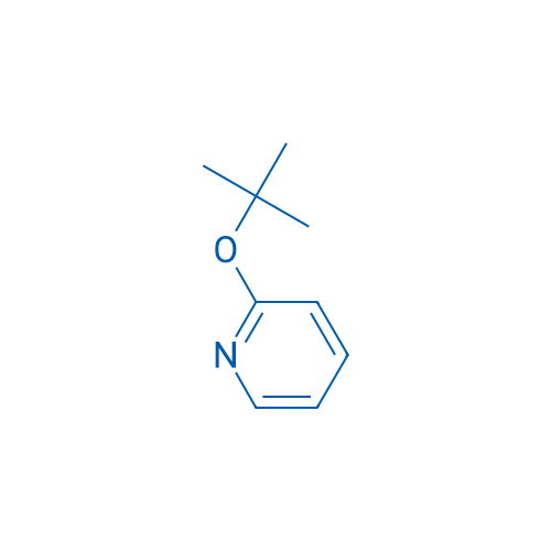 2-(tert-Butoxy)pyridine 25g