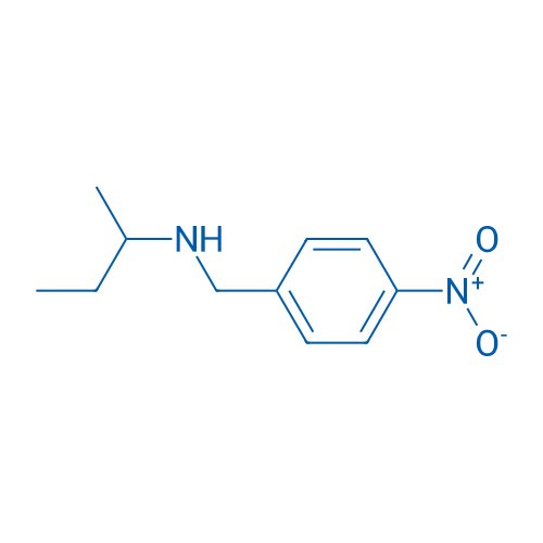 (Butan-2-yl)[(4-nitrophenyl)methyl]amine 5g