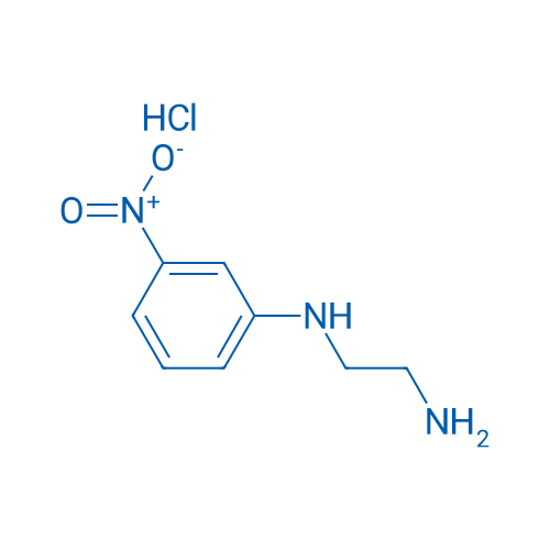 N1-(3-Nitrophenyl)ethane-1,2-diamine hydrochloride 5g