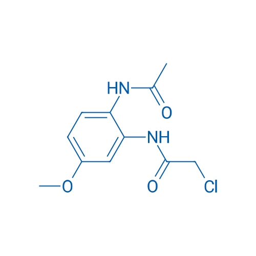 N-(2-Acetamido-5-methoxyphenyl)-2-chloroacetamide 1g