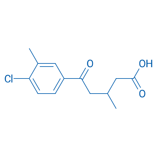 5-(4-Chloro-3-methylphenyl)-3-methyl-5-oxopentanoic acid 1g