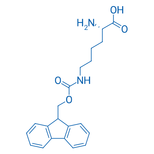 H-Lys(Fmoc)-OH 1g