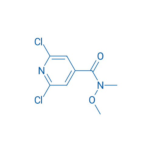 2,6-Dichloro-N-methoxy-N-methylisonicotinamide 1g