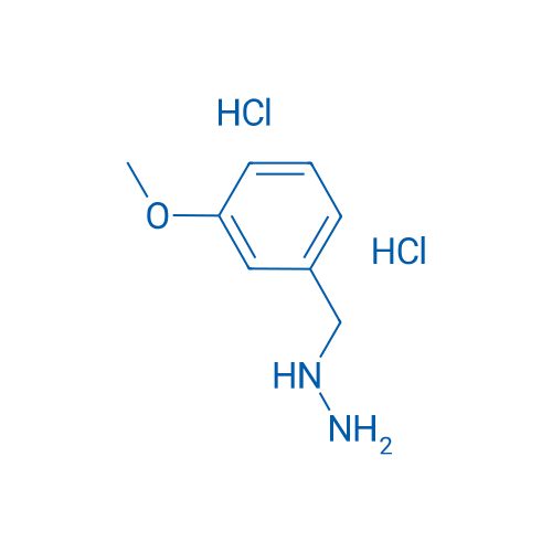 (3-Methoxybenzyl)hydrazine dihydrochloride 250mg