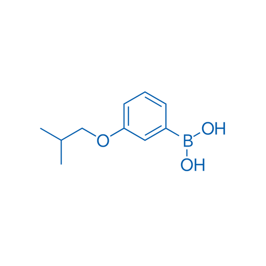 3-Isobutoxyphenylboronic acid 5g