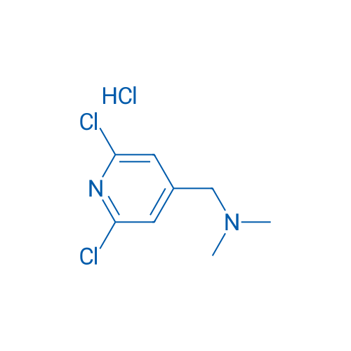 1-(2,6-Dichloropyridin-4-yl)-N,N-dimethylmethanamine hydrochloride 1g