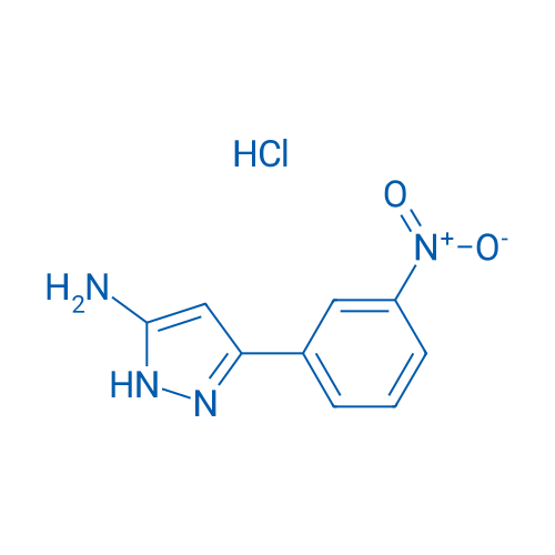 3-(3-Nitrophenyl)-1H-pyrazol-5-amine hydrochloride 1g