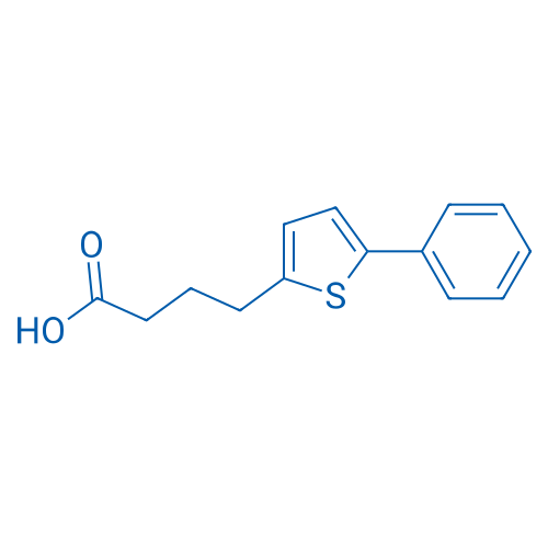 4-(5-Phenylthiophen-2-yl)butanoic acid 1g