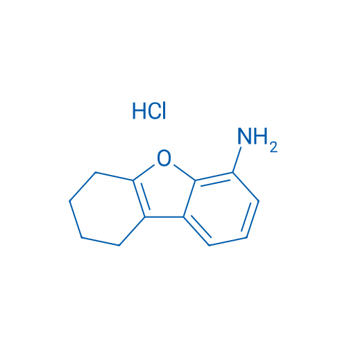 6,7,8,9-Tetrahydrodibenzo[b,d]furan-4-amine hydrochloride 250mg