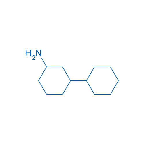 3-Cyclohexylcyclohexan-1-amine 1g