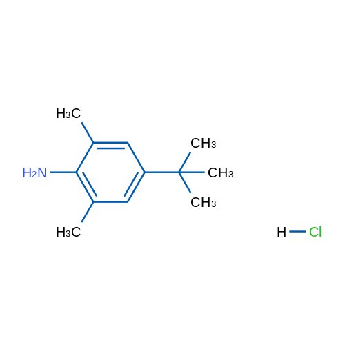 4-tert-Butyl-2,6-dimethylphenylamine hydrochloride 5g