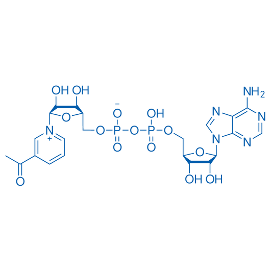 3-Acetylpyridine adenine dinucleotide 100mg